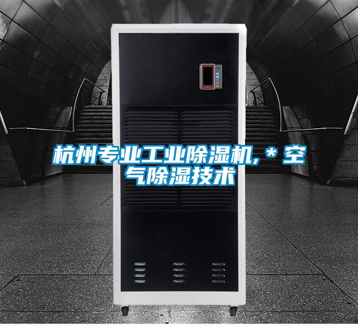 杭州專(zhuān)業(yè)工業(yè)除濕機,＊空氣除濕技術(shù)