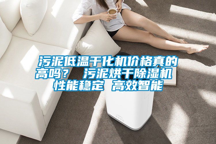 污泥低溫干化機價(jià)格真的高嗎？ 污泥烘干除濕機 性能穩定 高效智能