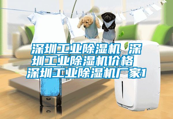深圳工業(yè)除濕機 深圳工業(yè)除濕機價(jià)格 深圳工業(yè)除濕機廠(chǎng)家1