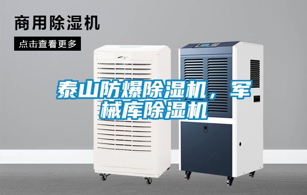 泰山防爆除濕機，軍械庫除濕機
