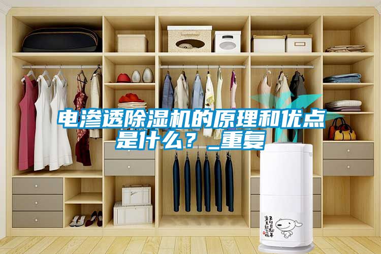 電滲透除濕機的原理和優(yōu)點(diǎn)是什么？_重復