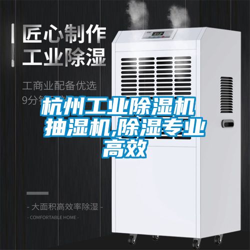 杭州工業(yè)除濕機 抽濕機,除濕專(zhuān)業(yè)高效