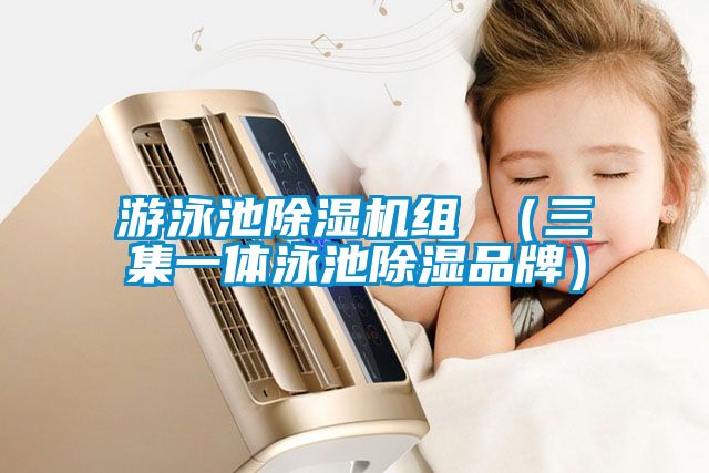 游泳池除濕機組 （三集一體泳池除濕品牌）