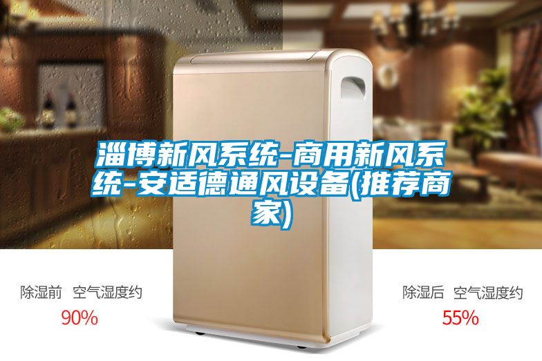 淄博新風(fēng)系統-商用新風(fēng)系統-安適德通風(fēng)設備(推薦商家)