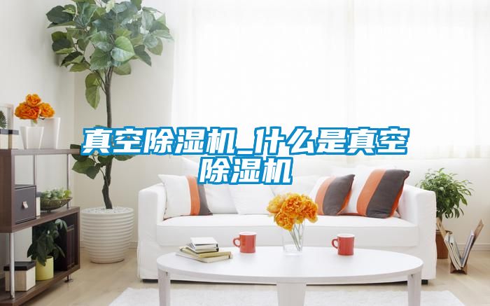 真空除濕機_什么是真空除濕機