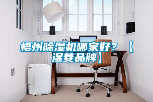 梧州除濕機哪家好？【濕菱品牌】
