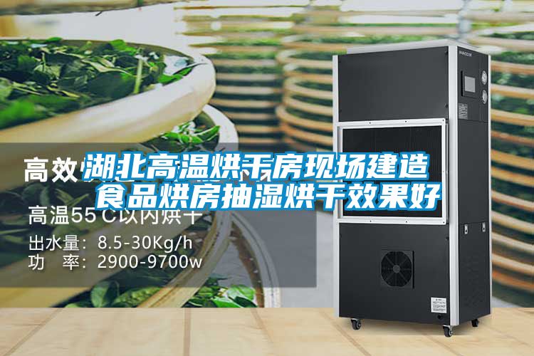 湖北高溫烘干房現場(chǎng)建造 食品烘房抽濕烘干效果好