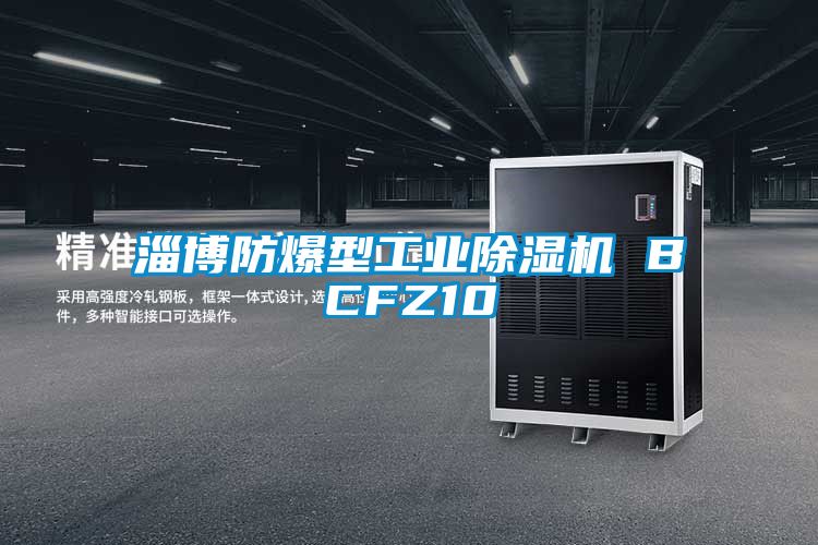 淄博防爆型工業(yè)除濕機 BCFZ10
