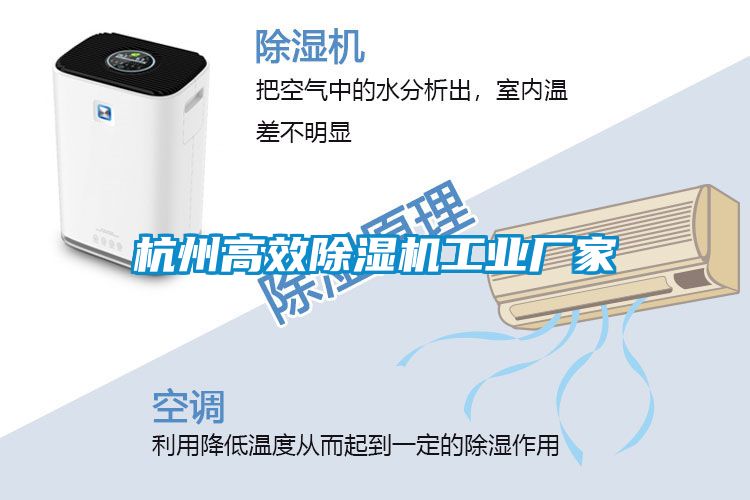 杭州高效除濕機工業(yè)廠(chǎng)家