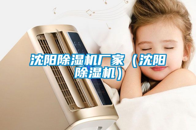 沈陽(yáng)除濕機廠(chǎng)家（沈陽(yáng)除濕機）