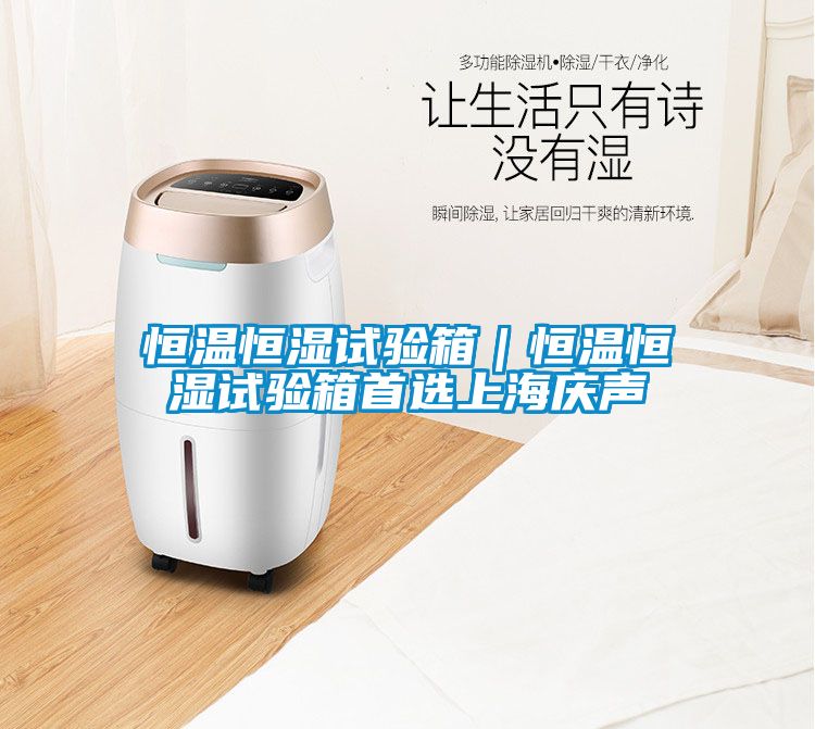 恒溫恒濕試驗箱｜恒溫恒濕試驗箱首選上海慶聲