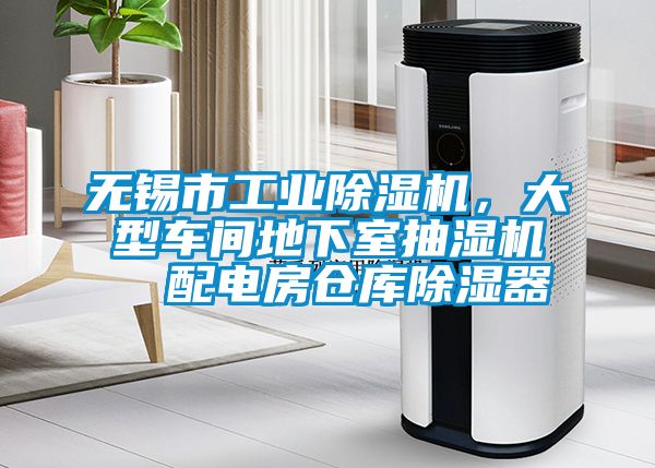 無(wú)錫市工業(yè)除濕機，大型車(chē)間地下室抽濕機  配電房倉庫除濕器