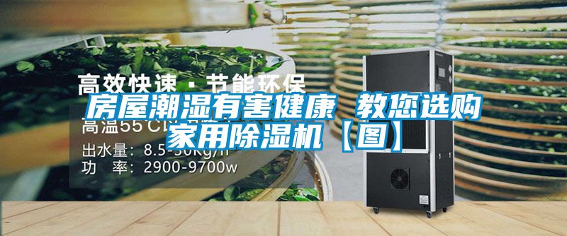 房屋潮濕有害健康 教您選購家用除濕機【圖】