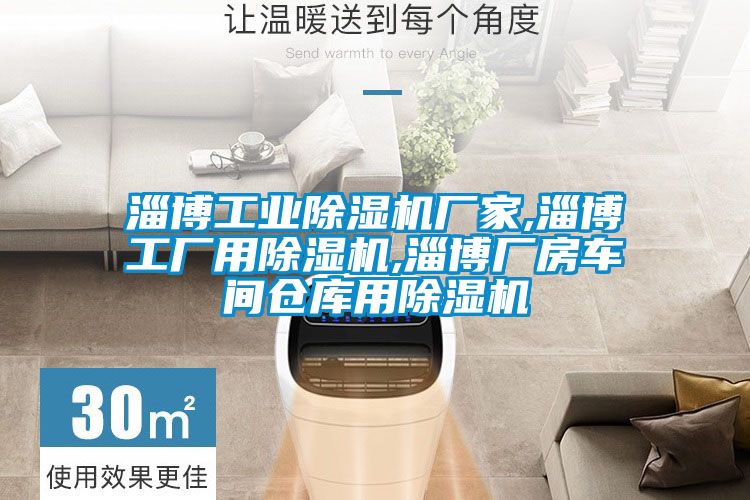 淄博工業(yè)除濕機廠(chǎng)家,淄博工廠(chǎng)用除濕機,淄博廠(chǎng)房車(chē)間倉庫用除濕機