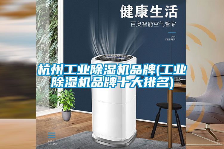 杭州工業(yè)除濕機品牌(工業(yè)除濕機品牌十大排名)
