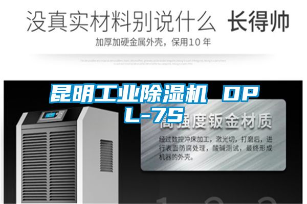 昆明工業(yè)除濕機 DPL-7S