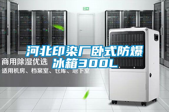 河北印染廠(chǎng)臥式防爆冰箱300L