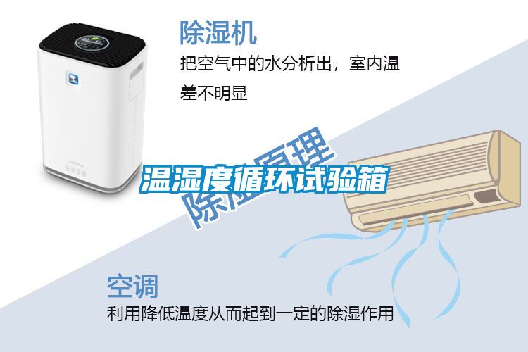 溫濕度循環(huán)試驗箱