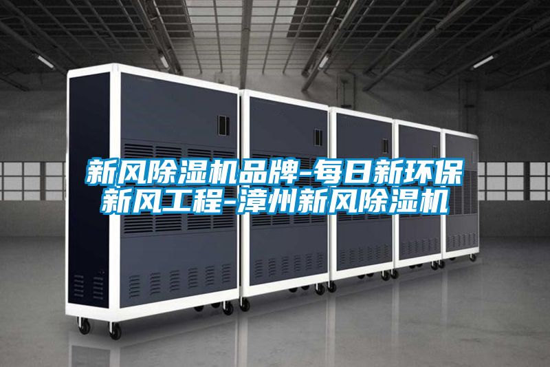 新風(fēng)除濕機品牌-每日新環(huán)保新風(fēng)工程-漳州新風(fēng)除濕機
