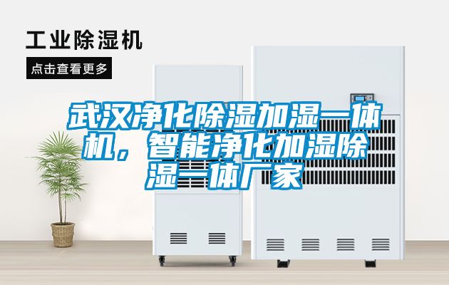 武漢凈化除濕加濕一體機，智能凈化加濕除濕一體廠(chǎng)家