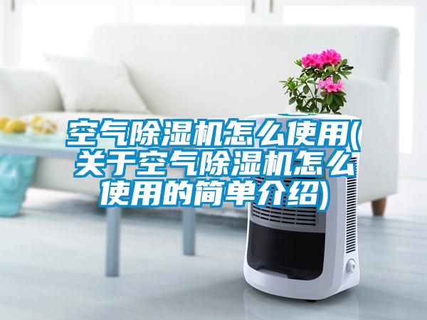 空氣除濕機怎么使用(關(guān)于空氣除濕機怎么使用的簡(jiǎn)單介紹)
