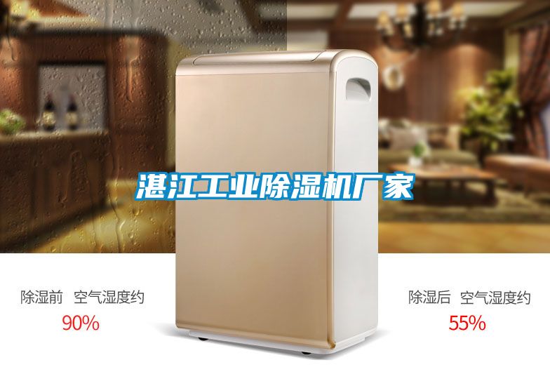 湛江工業(yè)除濕機廠(chǎng)家