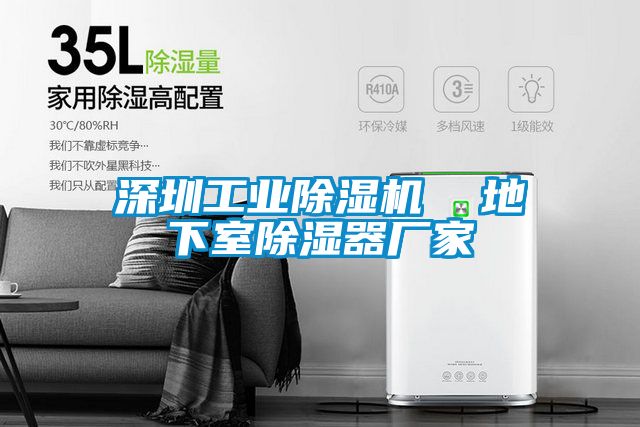 深圳工業(yè)除濕機  地下室除濕器廠(chǎng)家