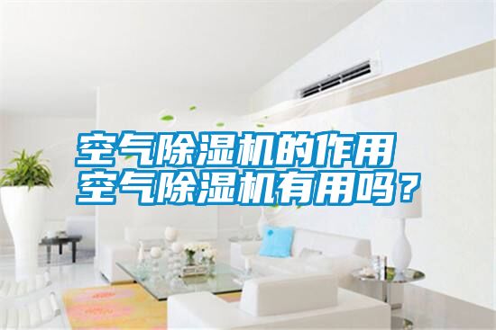 空氣除濕機的作用 空氣除濕機有用嗎？