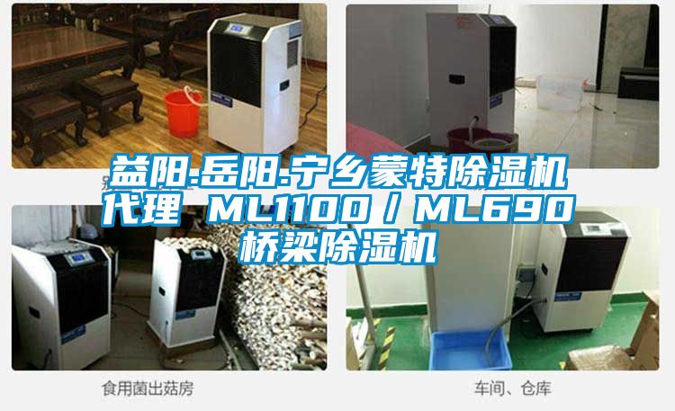益陽(yáng).岳陽(yáng).寧鄉蒙特除濕機代理 ML1100／ML690橋梁除濕機