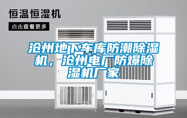 滄州地下車(chē)庫防潮除濕機，滄州電廠(chǎng)防爆除濕機廠(chǎng)家