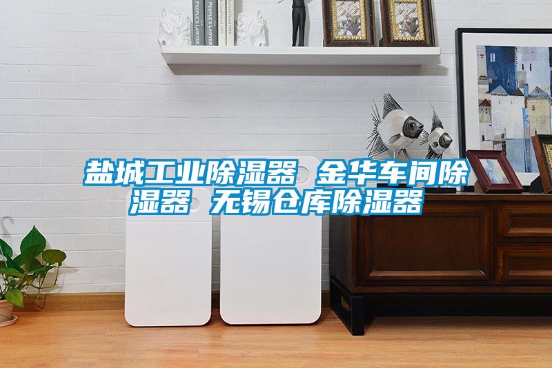 鹽城工業(yè)除濕器 金華車(chē)間除濕器 無(wú)錫倉庫除濕器