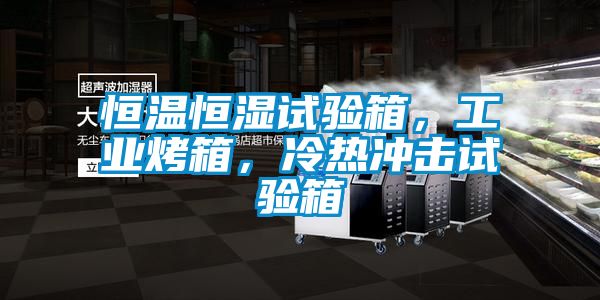 恒溫恒濕試驗箱，工業(yè)烤箱，冷熱沖擊試驗箱