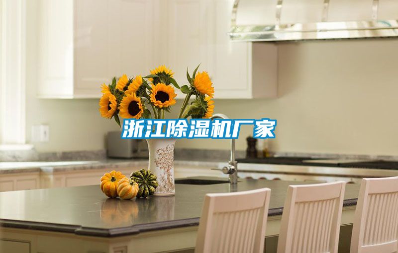 浙江除濕機廠(chǎng)家
