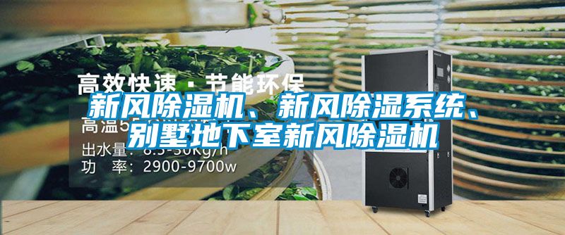 新風(fēng)除濕機、新風(fēng)除濕系統、別墅地下室新風(fēng)除濕機