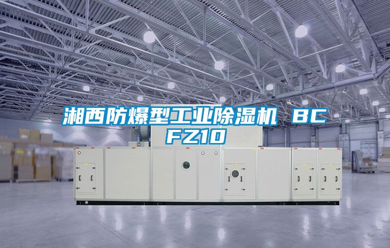 湘西防爆型工業(yè)除濕機 BCFZ10