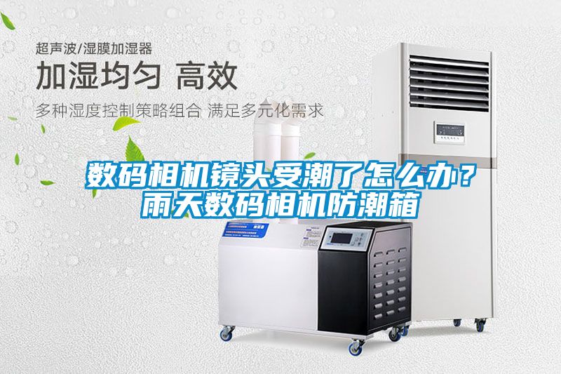 數碼相機鏡頭受潮了怎么辦？雨天數碼相機防潮箱
