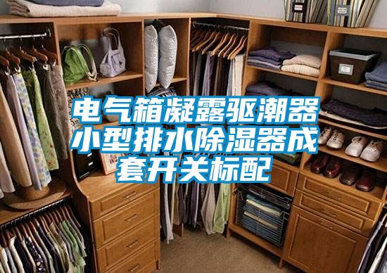 電氣箱凝露驅潮器小型排水除濕器成套開(kāi)關(guān)標配