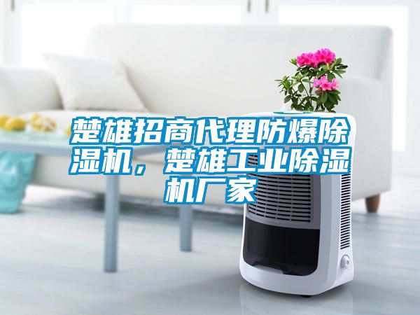 楚雄招商代理防爆除濕機，楚雄工業(yè)除濕機廠(chǎng)家