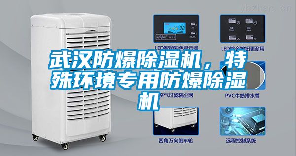 武漢防爆除濕機，特殊環(huán)境專(zhuān)用防爆除濕機