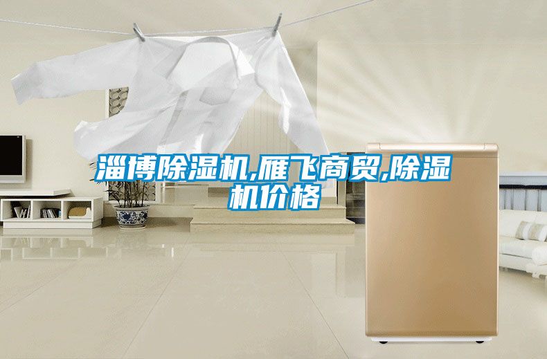 淄博除濕機,雁飛商貿,除濕機價(jià)格