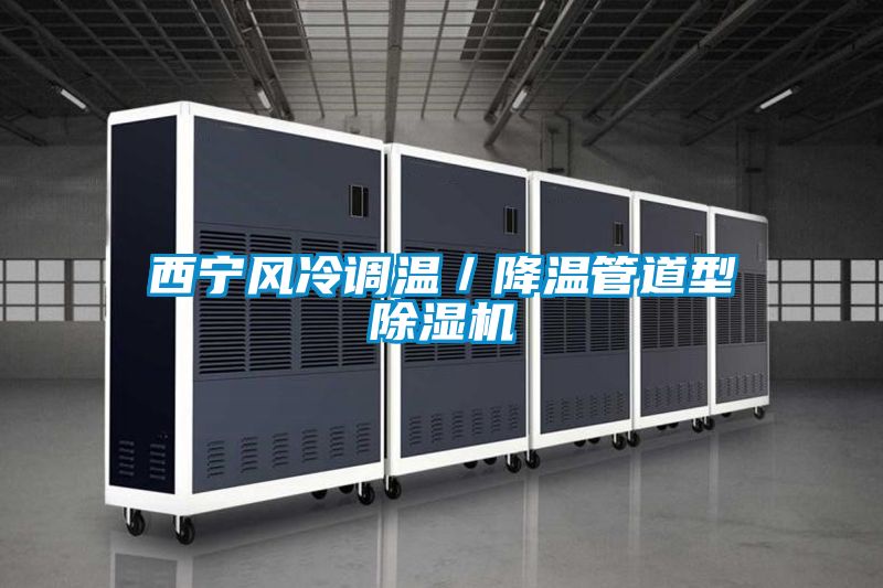 西寧風(fēng)冷調溫／降溫管道型除濕機