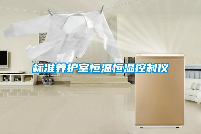 標準養護室恒溫恒濕控制儀
