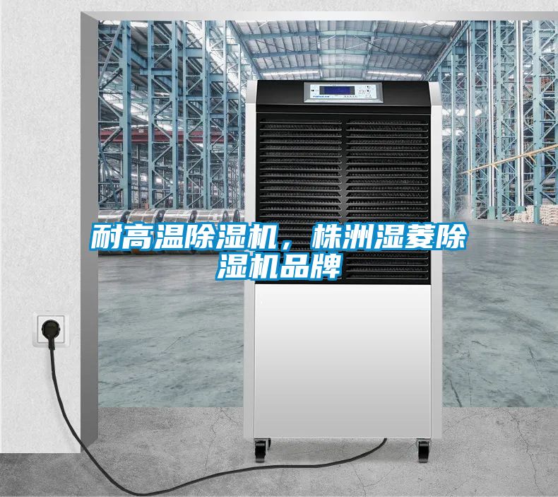 耐高溫除濕機，株洲濕菱除濕機品牌