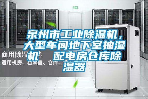 泉州市工業(yè)除濕機，大型車(chē)間地下室抽濕機  配電房倉庫除濕器
