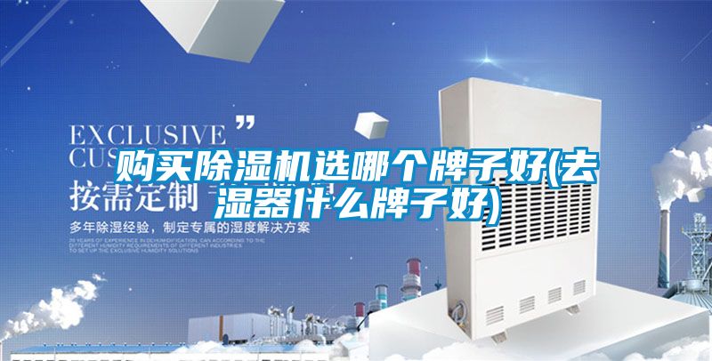 購買(mǎi)除濕機選哪個(gè)牌子好(去濕器什么牌子好)