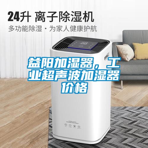 益陽(yáng)加濕器，工業(yè)超聲波加濕器價(jià)格