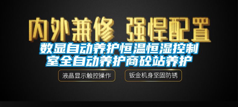 數顯自動(dòng)養護恒溫恒濕控制室全自動(dòng)養護商砼站養護