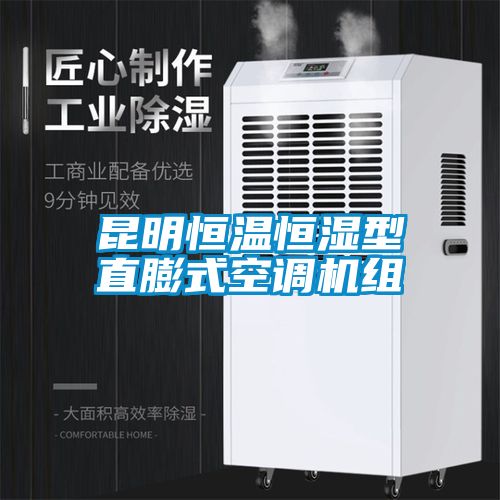 昆明恒溫恒濕型直膨式空調機組