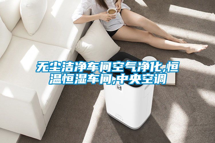 無(wú)塵潔凈車(chē)間空氣凈化,恒溫恒濕車(chē)間,中央空調