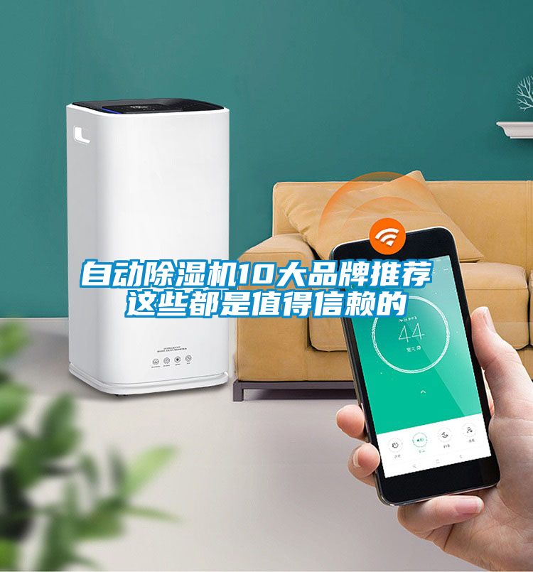 自動(dòng)除濕機10大品牌推薦 這些都是值得信賴(lài)的